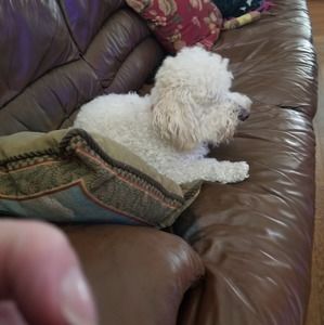 Meet your Posher, Nick